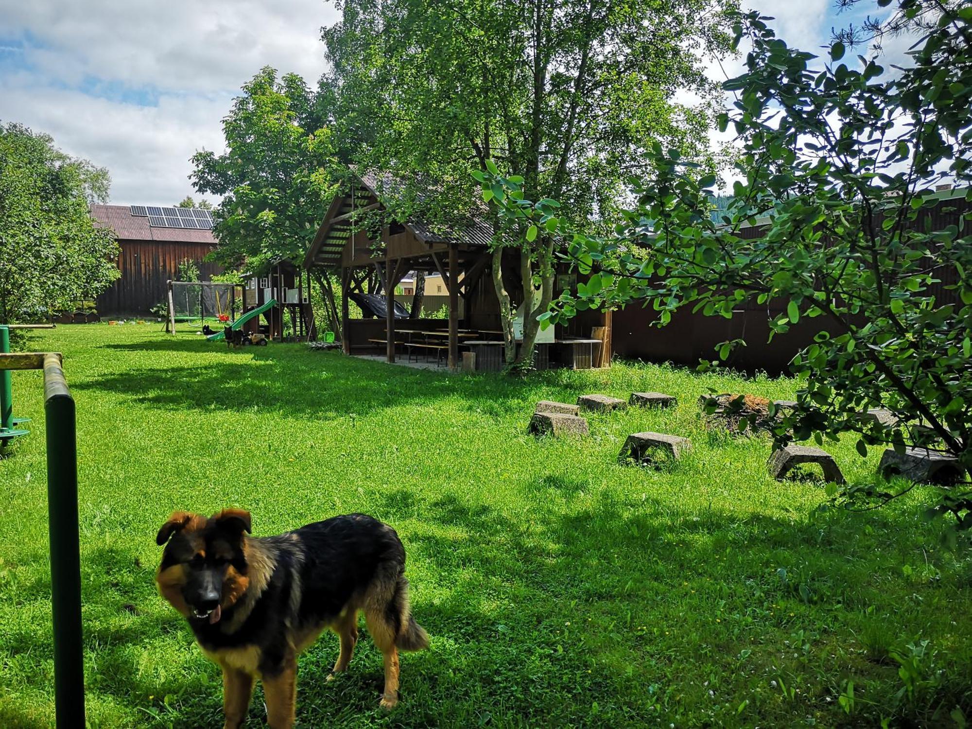 Arenda Noclegi Niedzica Exterior photo